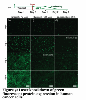Text Box:   Figure 9: Laser knockdown of green fluorescent protein expression in human cancer cells 
