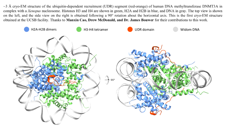 UCSB First CryoEM structure