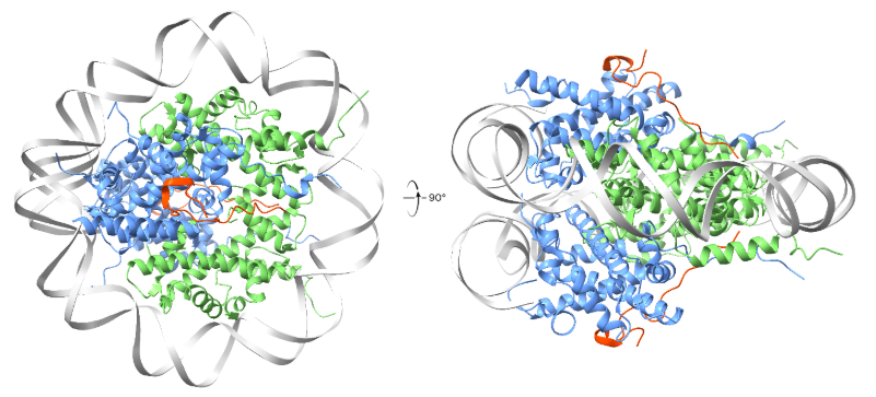 First cryoEM structure obtained at UCSB