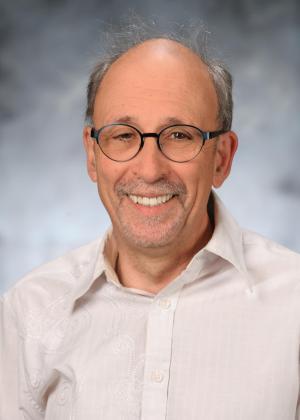 Prof. Mattanjah De Vries Headshot