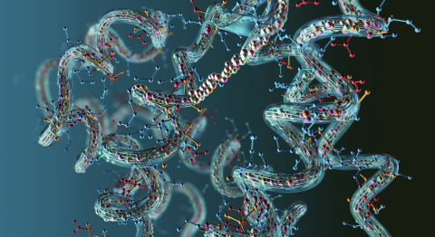 Enzymes from scratch