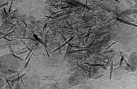 Lipshutz group: inexpensive nanoparticles catalyze a C-C bond-forming reaction