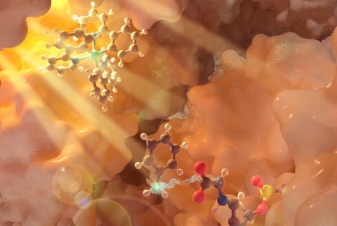 photobiocatalysis concept photo