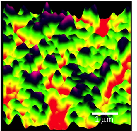 Proton conductance image of an operating PEM fuel cell acquired using tunneling AFM
